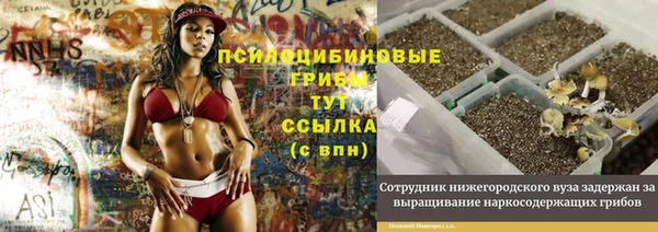 гидропоника Куйбышев