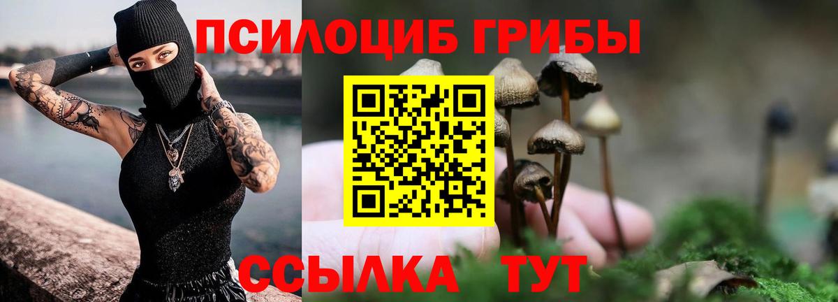 Сызрань  Галлюциногенные грибы MAGIC MUSHROOMS  Псилоцибиновые грибы прущие грибы  Вход с VPN 